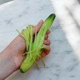 پوست کن و رشته کن (دوکاره) استیل